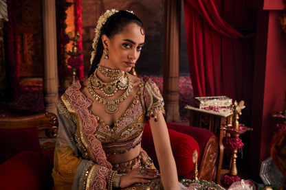 Rajsi roop gold chokar (kundan)